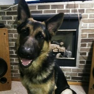 Meet your Posher, Cheyenne